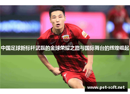 中国足球新标杆武磊的金球荣耀之路与国际舞台的辉煌崛起