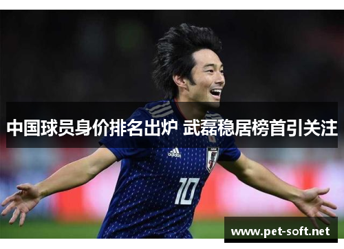 中国球员身价排名出炉 武磊稳居榜首引关注
