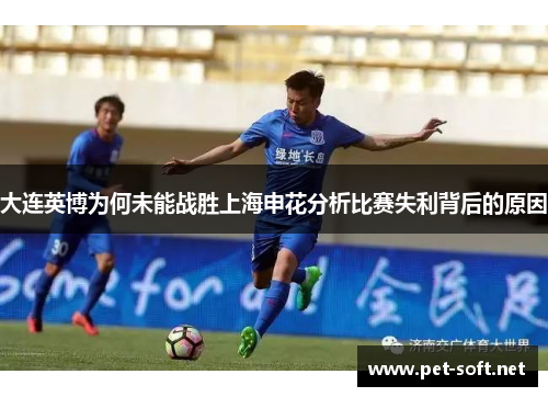 大连英博为何未能战胜上海申花分析比赛失利背后的原因