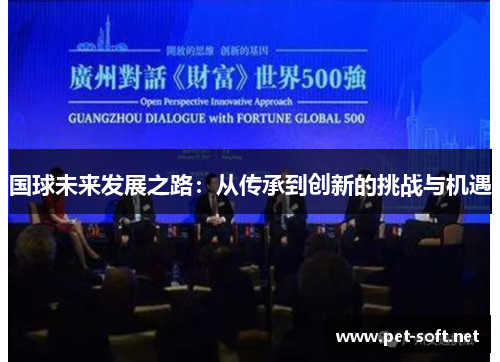 国球未来发展之路:从传承到创新的挑战与机遇