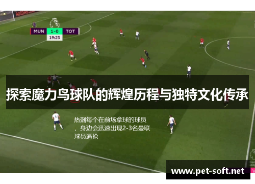 探索魔力鸟球队的辉煌历程与独特文化传承