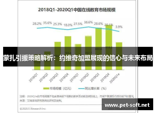 蒙扎引援策略解析：约维奇加盟展现的信心与未来布局