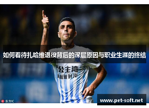 如何看待扎哈维退役背后的深层原因与职业生涯的终结