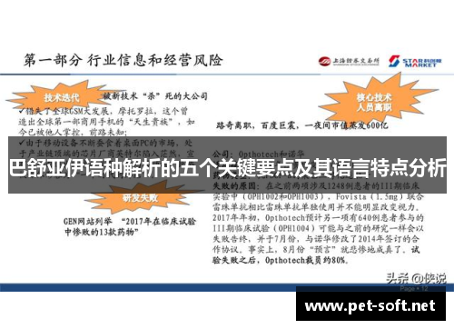 巴舒亚伊语种解析的五个关键要点及其语言特点分析