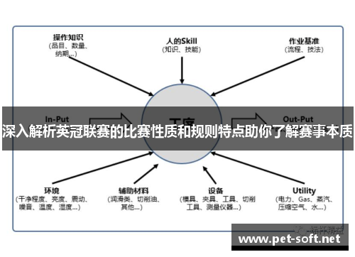 深入解析英冠联赛的比赛性质和规则特点助你了解赛事本质