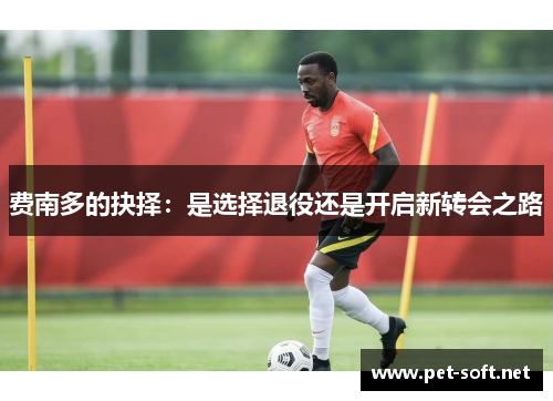 费南多的抉择：是选择退役还是开启新转会之路