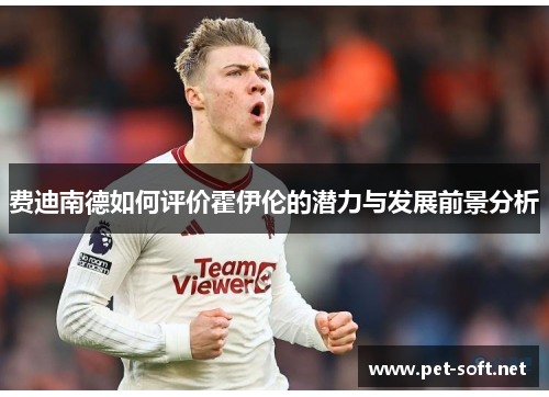 费迪南德如何评价霍伊伦的潜力与发展前景分析