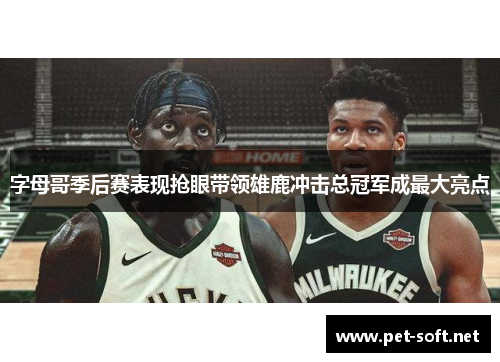 字母哥季后赛表现抢眼带领雄鹿冲击总冠军成最大亮点